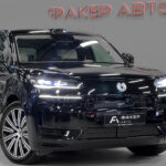 Denza N9 I 2025