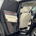 Denza N9 I 2025