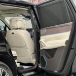 Denza N9 I 2025