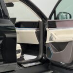 Denza N9 I 2025