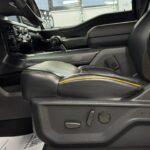 Ford F-150 XIV 2023
