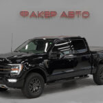 Ford F-150 XIV 2023