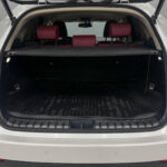 Lexus NX I Рестайлинг 2020