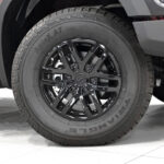 ZX Grandlion I 2024