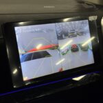 ZX Grandlion I 2024